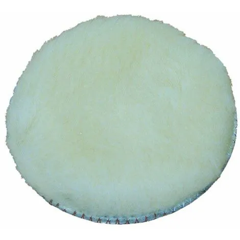 EIBENSTOCK Polisseuse D'angle WPN 180 - Polisseuse Humide 2 EIBENSTOCK Polisseuse D'angle WPN 180 - Polisseuse Humide – Image 2